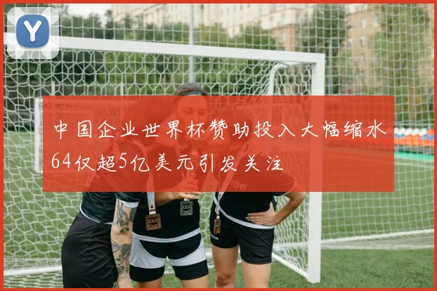 中国企业世界杯赞助投入大幅缩水64仅超5亿美元引发关注